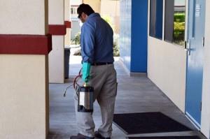 Commercial Pest Control for Businesses and Schools