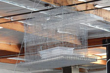 Live bird traps can be used to control birds around your business.